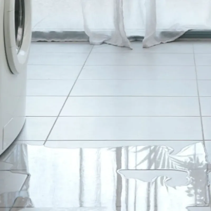 Appliance Leak Cleanup in North Liberty, IN