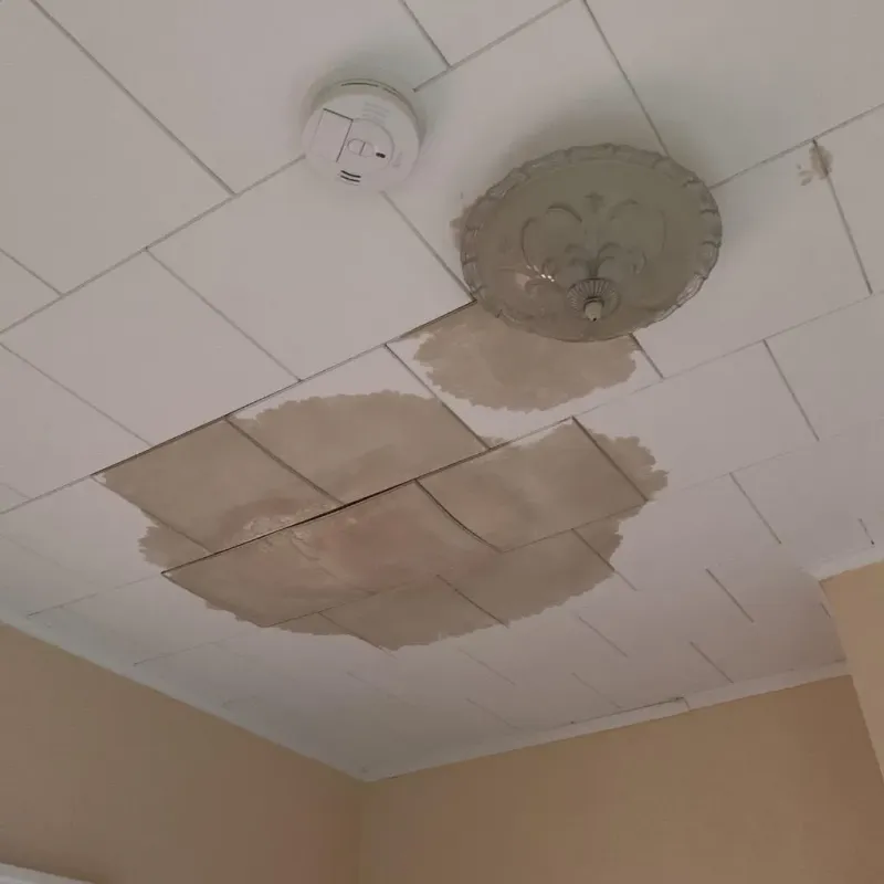 Ceiling Water Damage Repair in North Liberty, IN