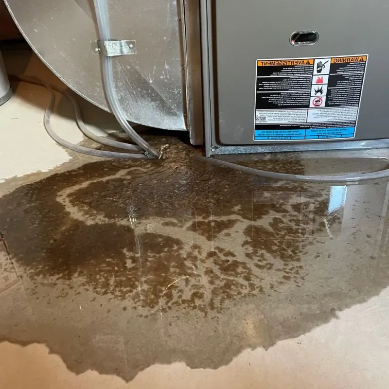 Pipe Burst and Leak Restoration in North Liberty, IN