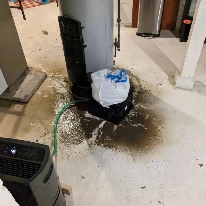 Sewage Backup Cleanup Service in North Liberty, IN